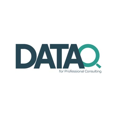 Data Quality for Professional Consulting logo
