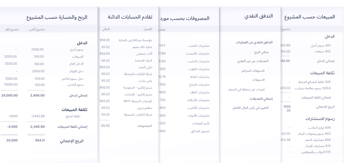 متابعة لحظية شاملة لأداء المشاريع والتدفق النقدي