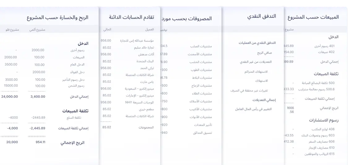 متابعة لحظية شاملة لأداء المشاريع والتدفق النقدي